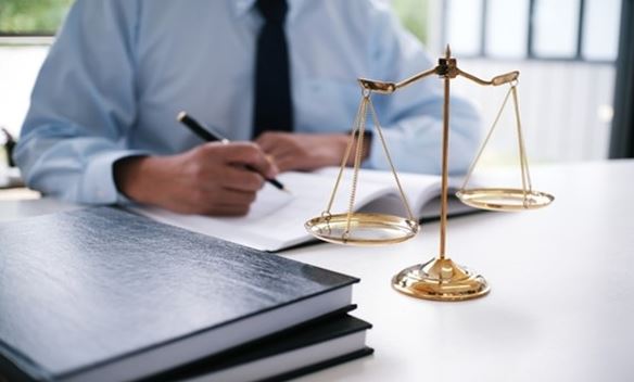 legal expert